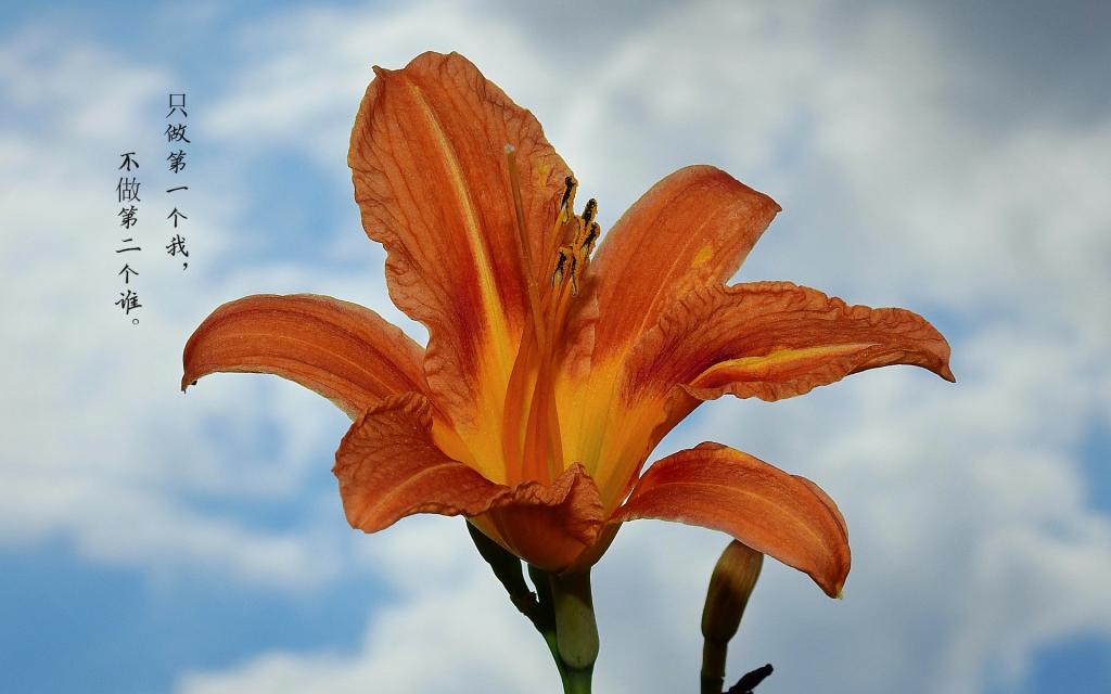 励志心语说说配图