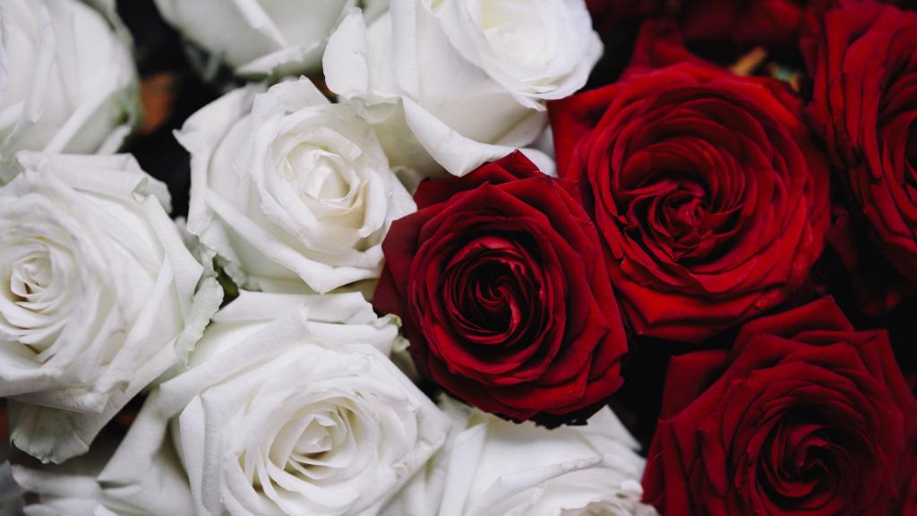 白色情人节浪漫鲜花礼物