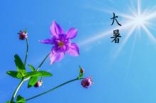 七月里炎热的大暑