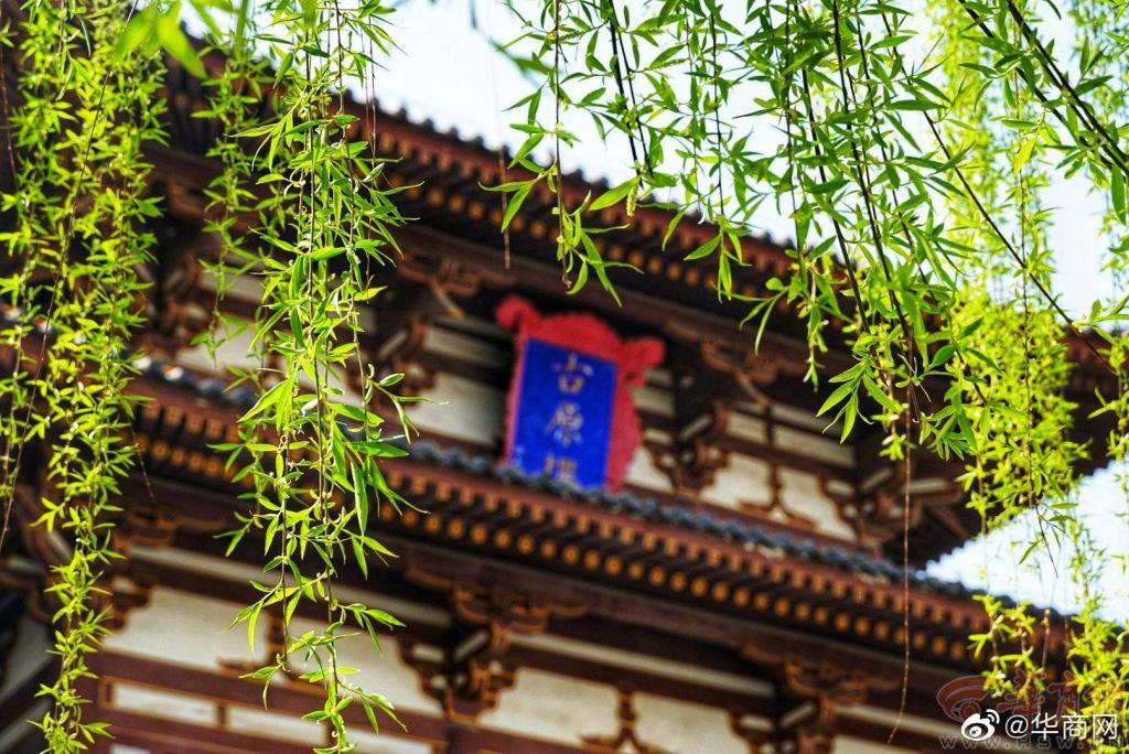 春天到来,春天的气息