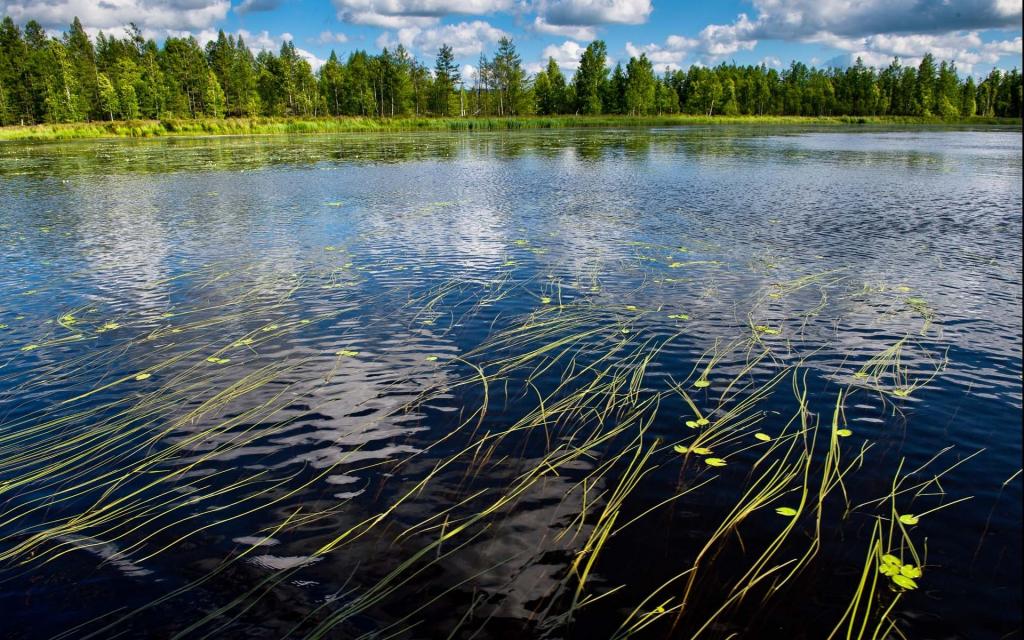 内蒙古阿尔山风景