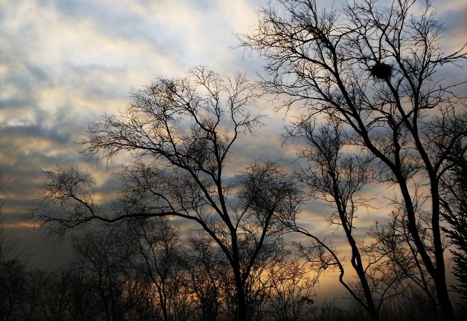 初春的早晨风景