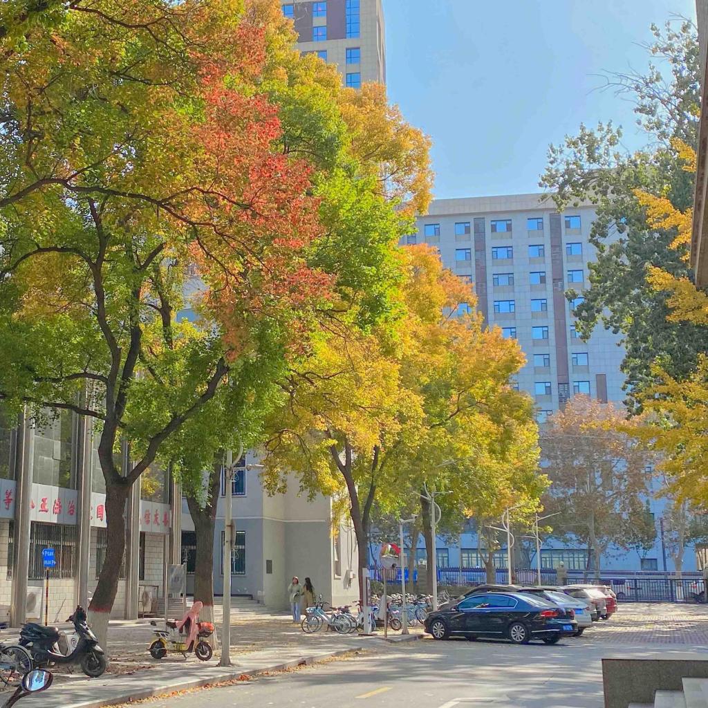 秋天清新迷人自然风光