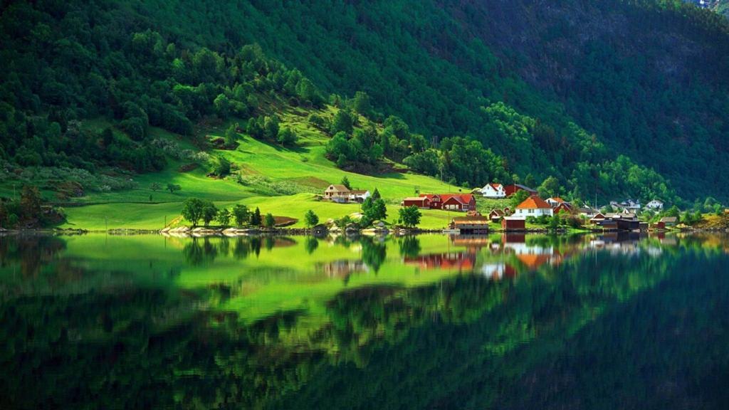 小清新绿色自然风景