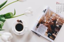 2018年2月小清新植物盆栽日历