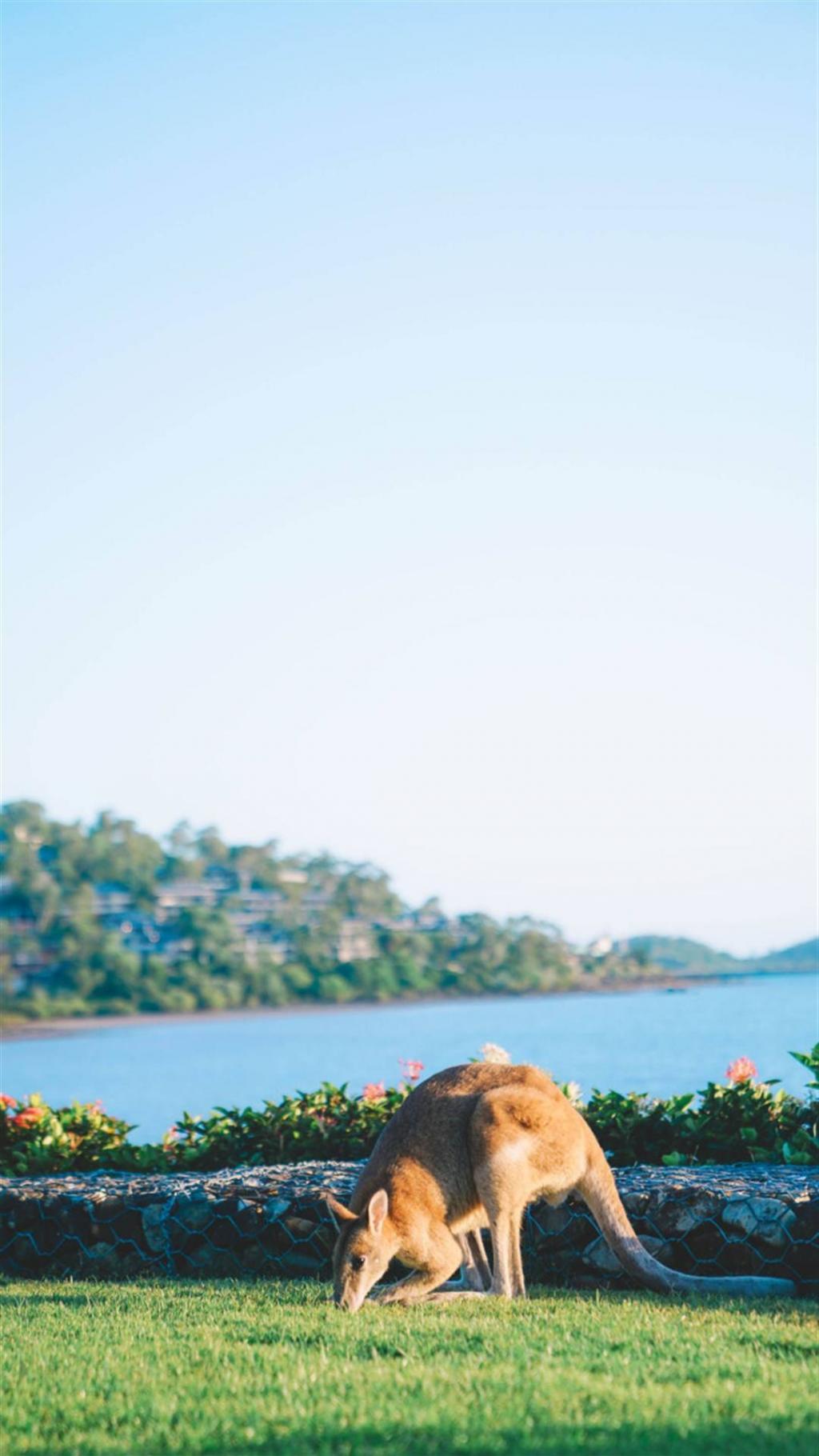 碧海蓝天澳大利亚