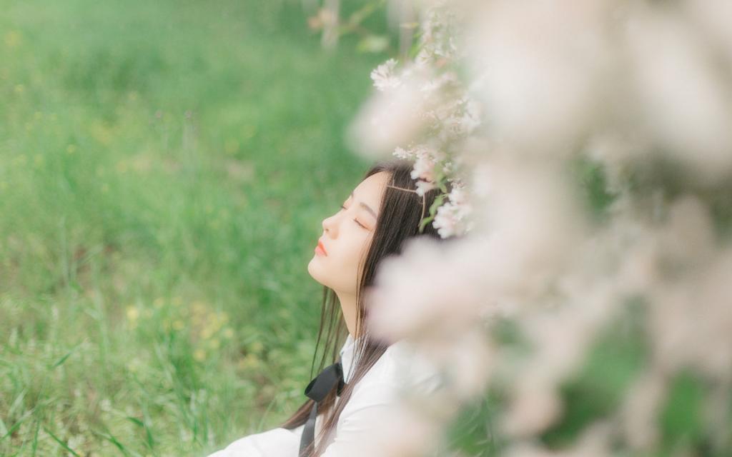 美人如花隔云端