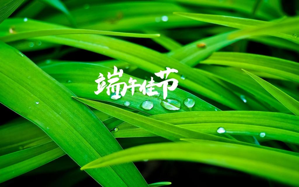 中国传统节日端午节