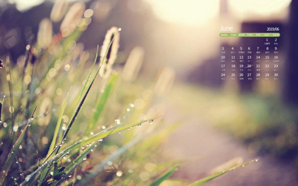 2019年6月阳光与花朵写真日历