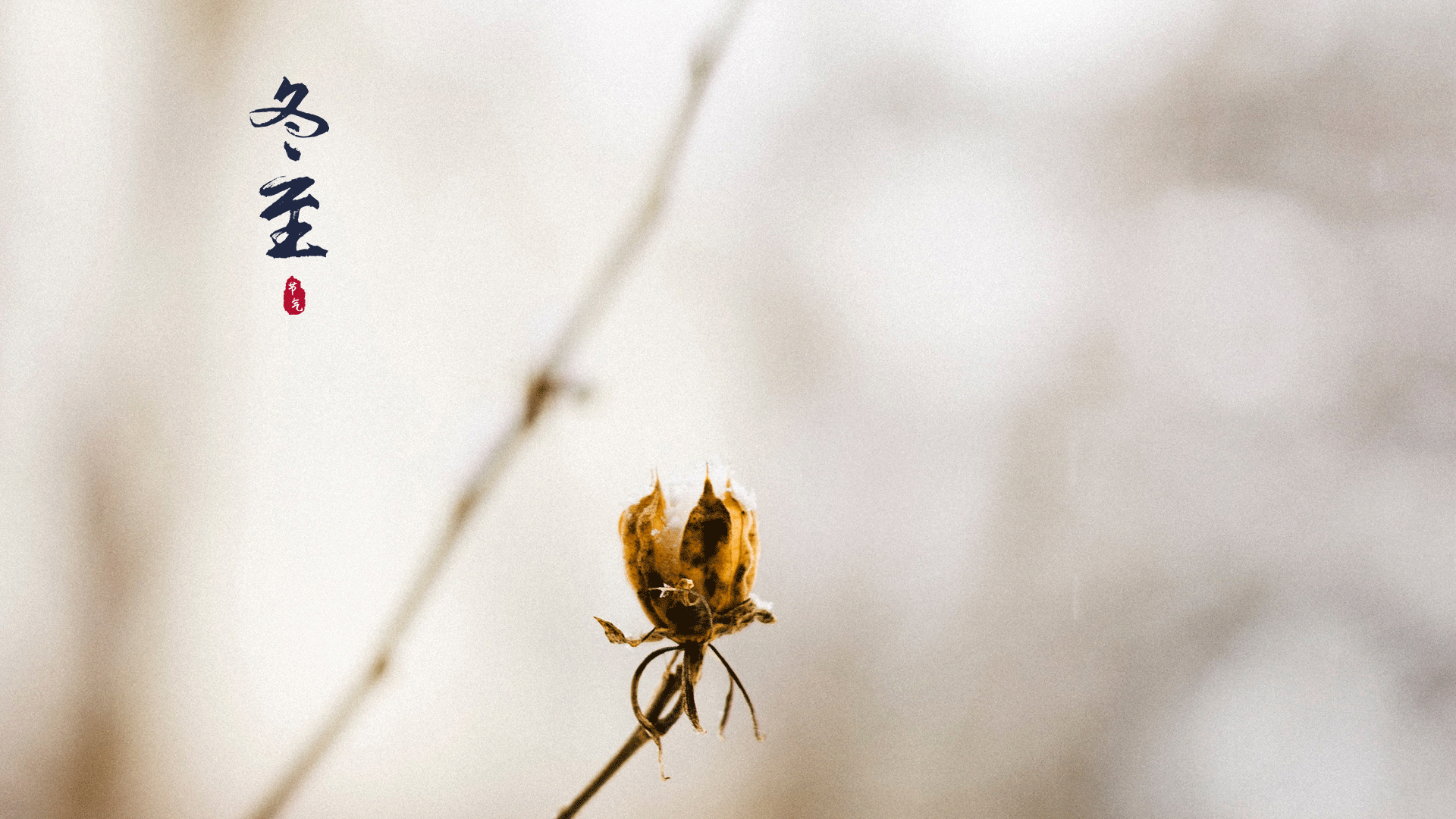 最美的冬至时节