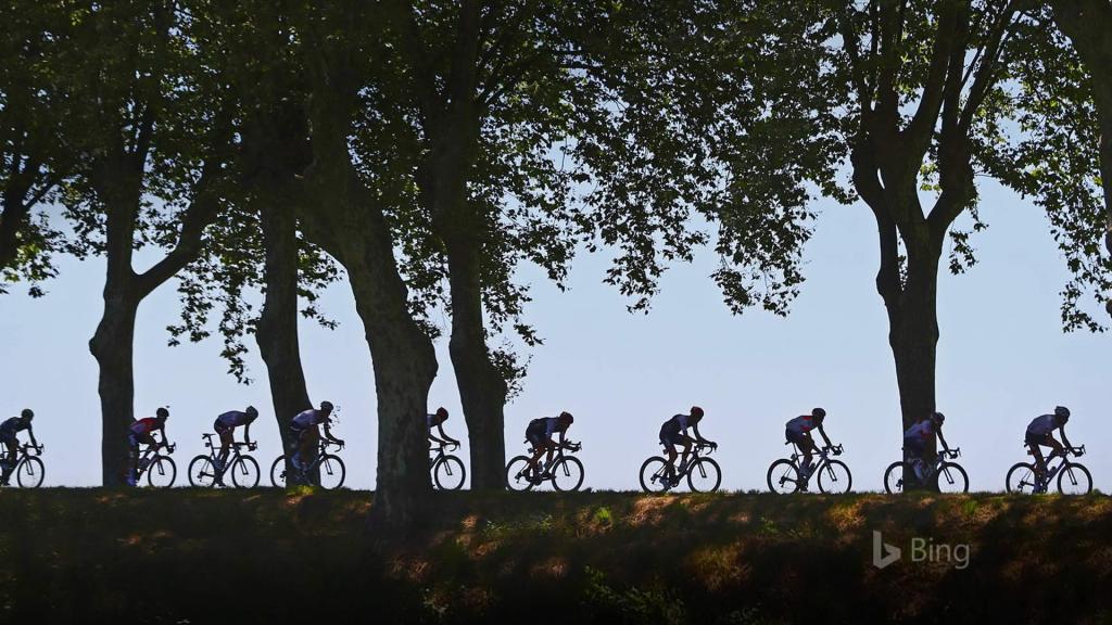 2018年 Bing官方主题第七波风景