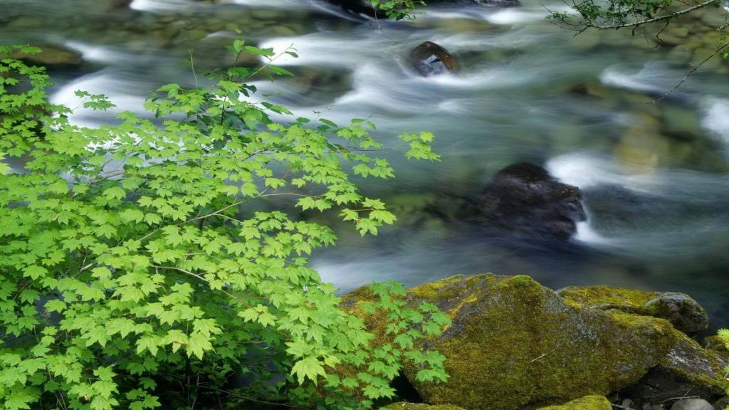 小溪流是恬静的