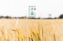 小清新24时节小满来袭