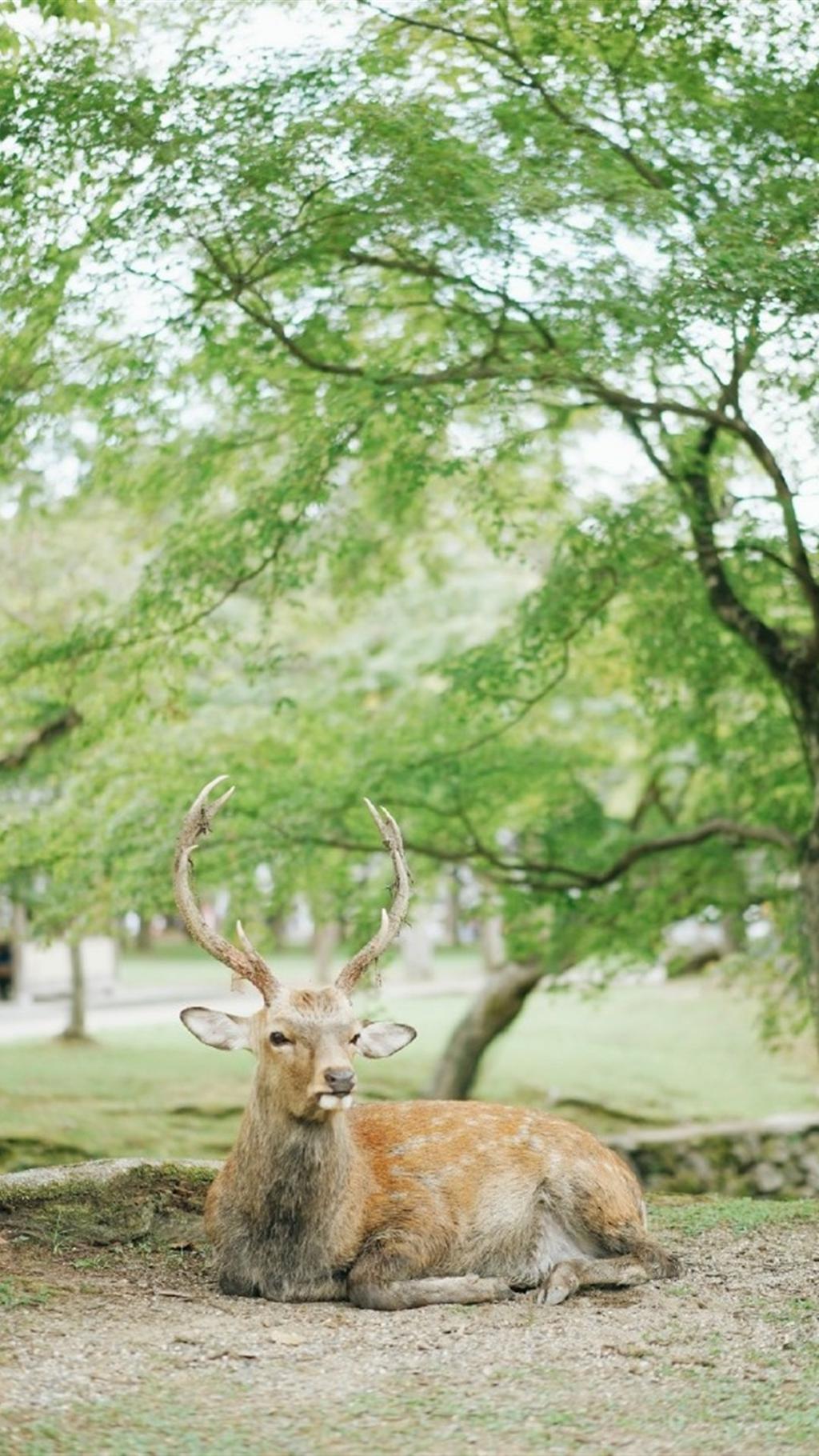 走走停停风光小清新写真