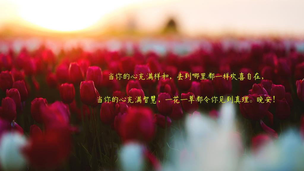 治愈温暖的晚安说说图片