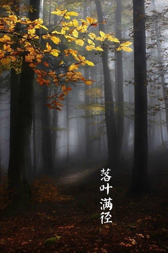 唯美二十四节气霜降文字