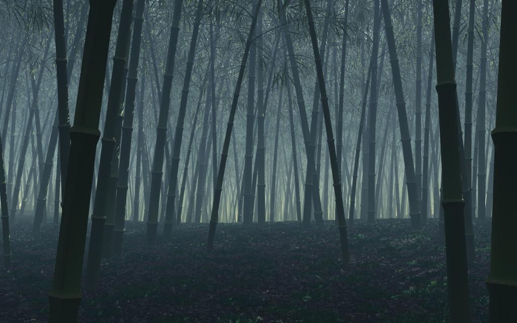 win7高清主题主界面