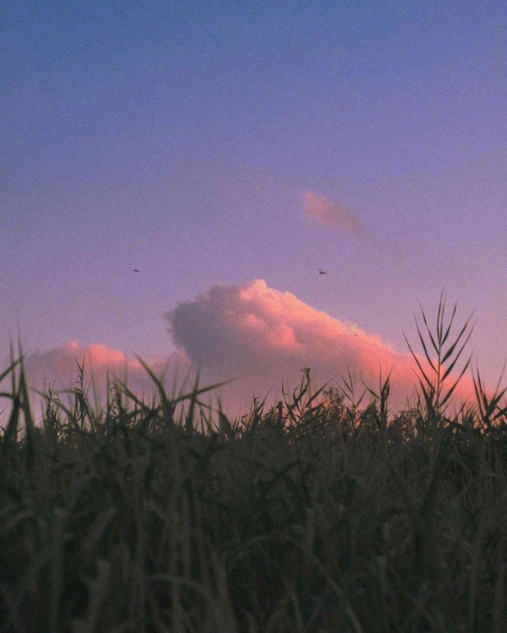 清新唯美迷人黄昏美景