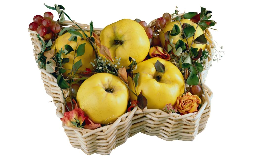 各种水果蔬菜花卉