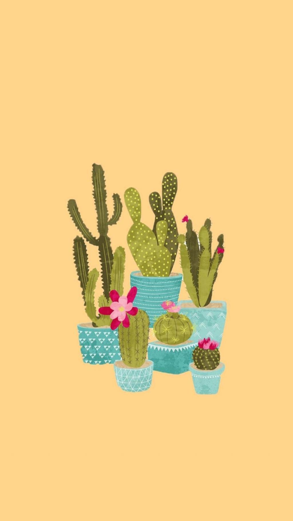 仙人球的个性插图