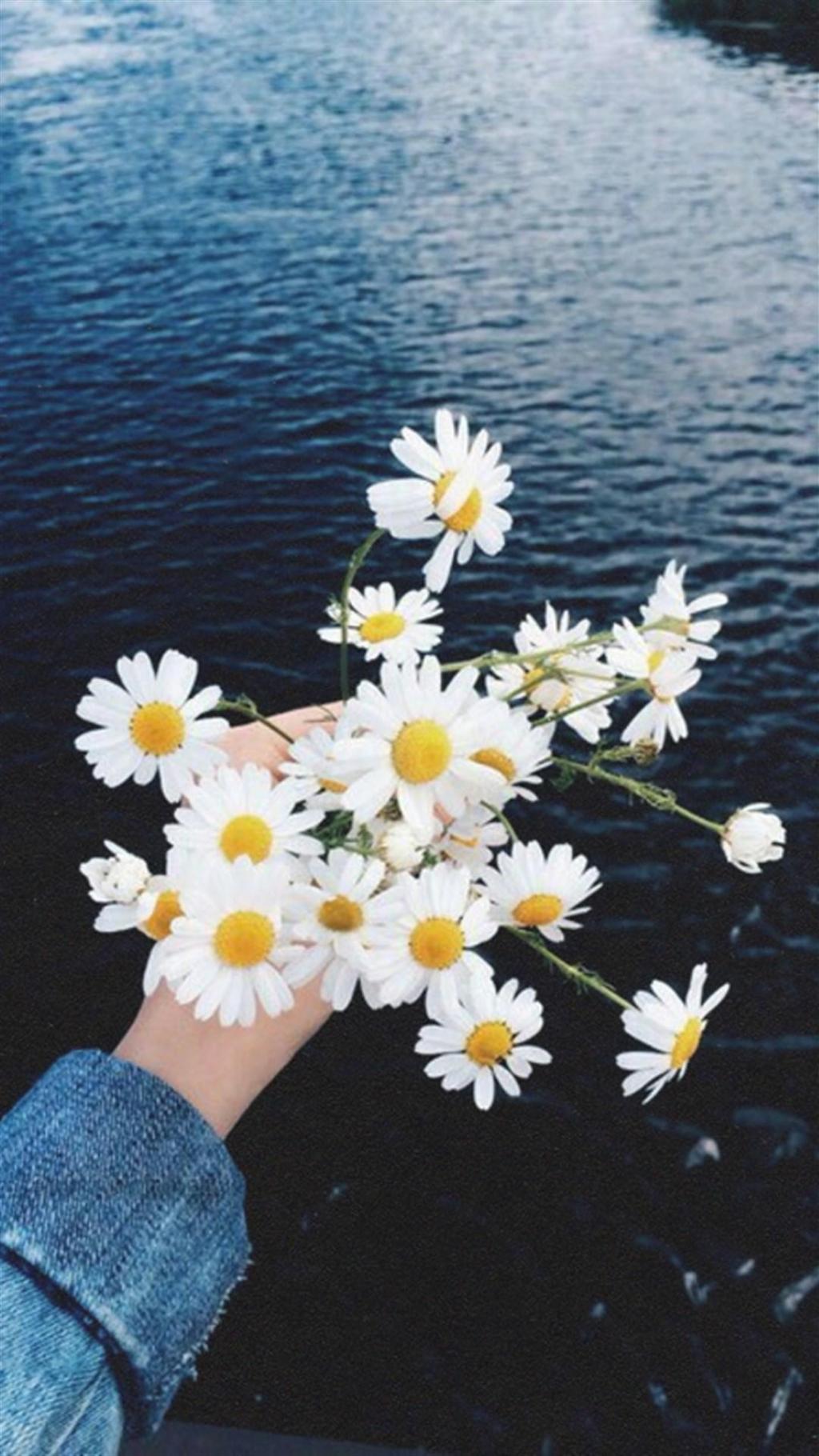 复古色调唯美鲜花