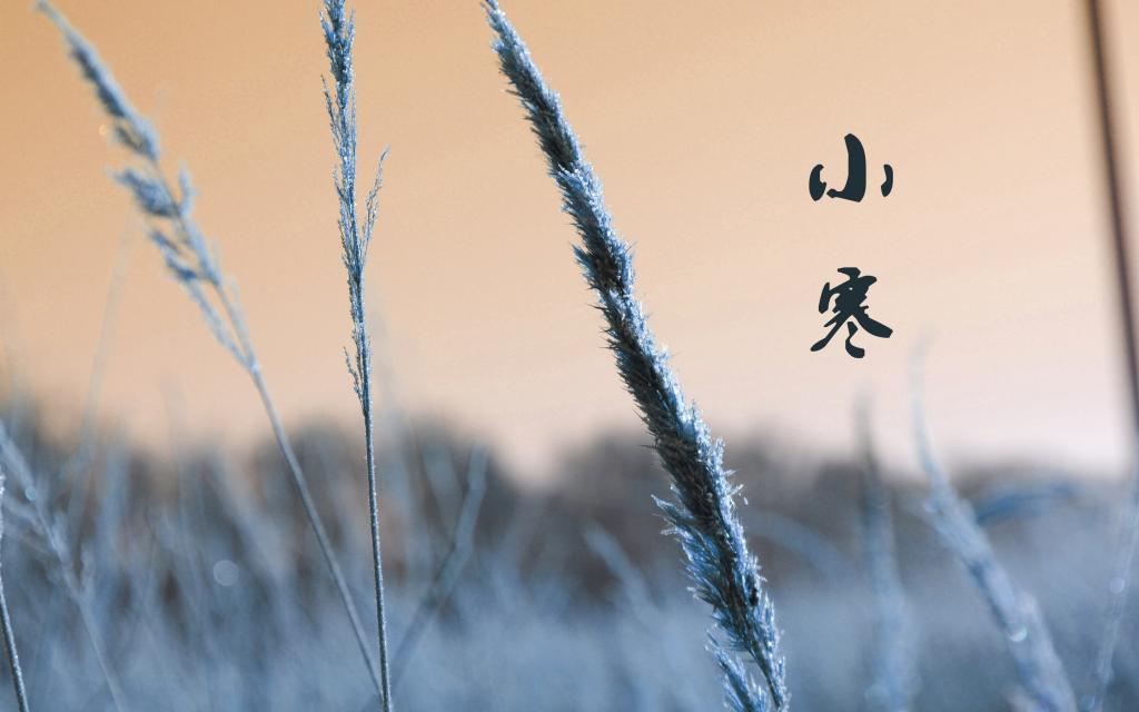 节气小寒的雪景