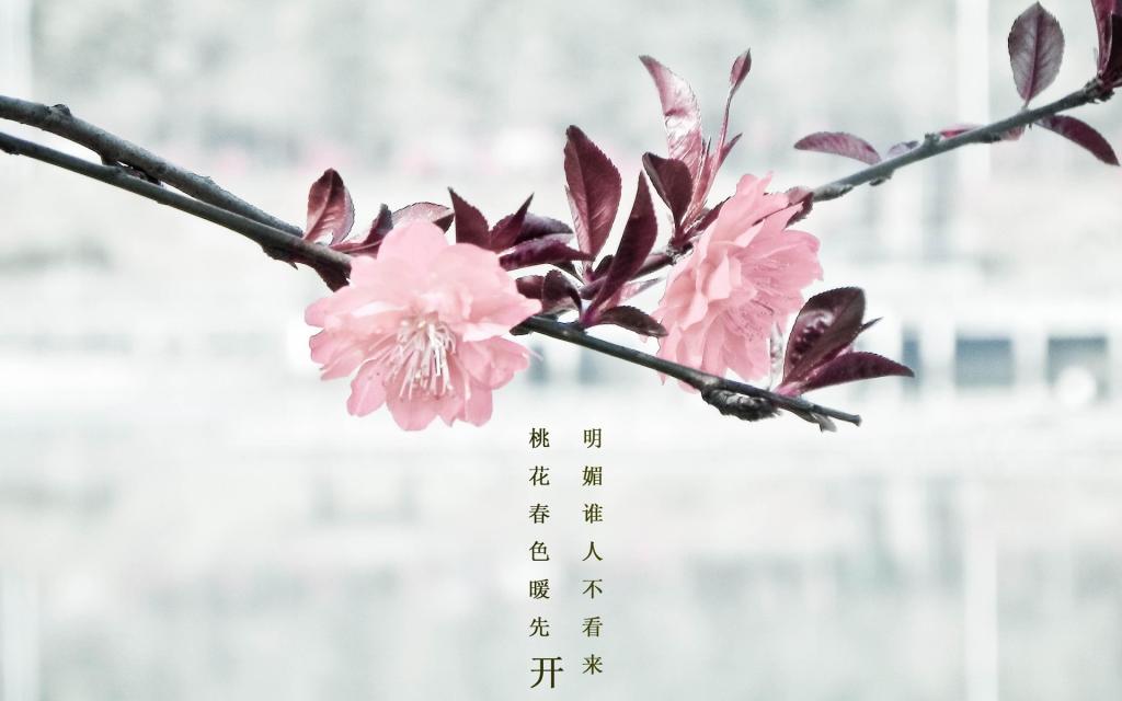 令人陶醉的三月你好