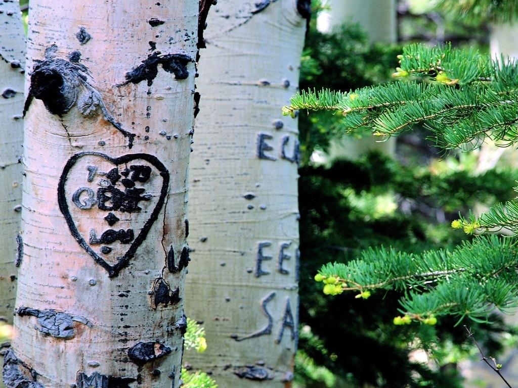 情人节甜蜜爱情