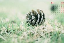 2018年5月绿色植物日历