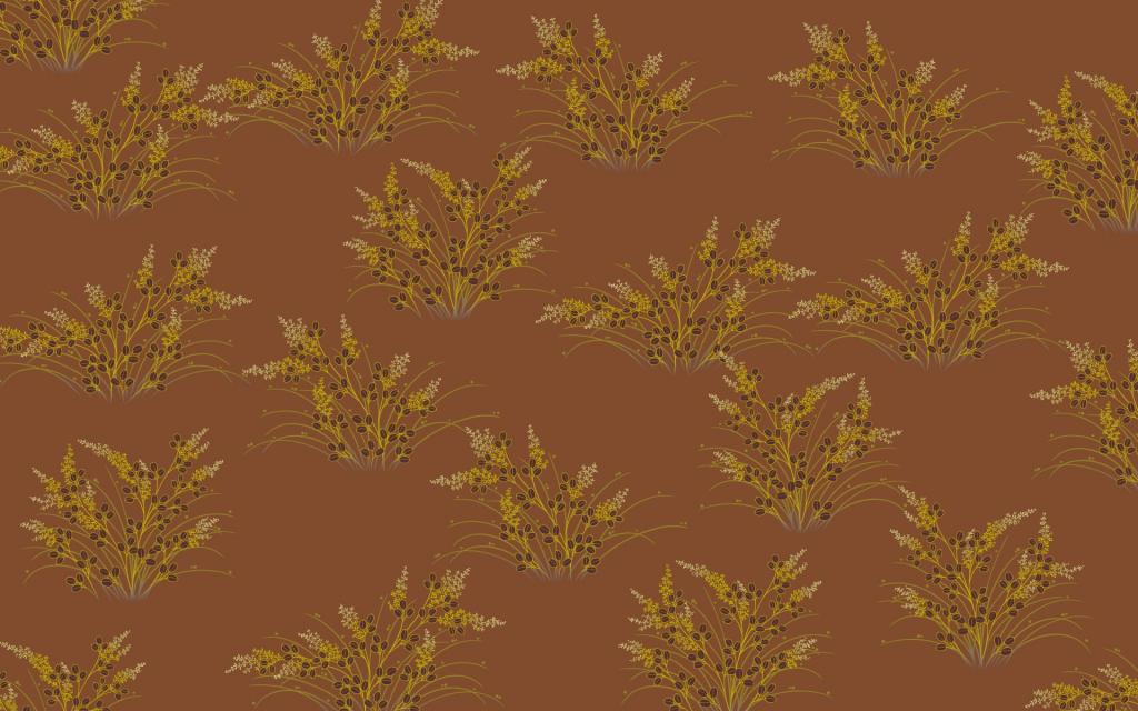 华丽的梅花和花瓣