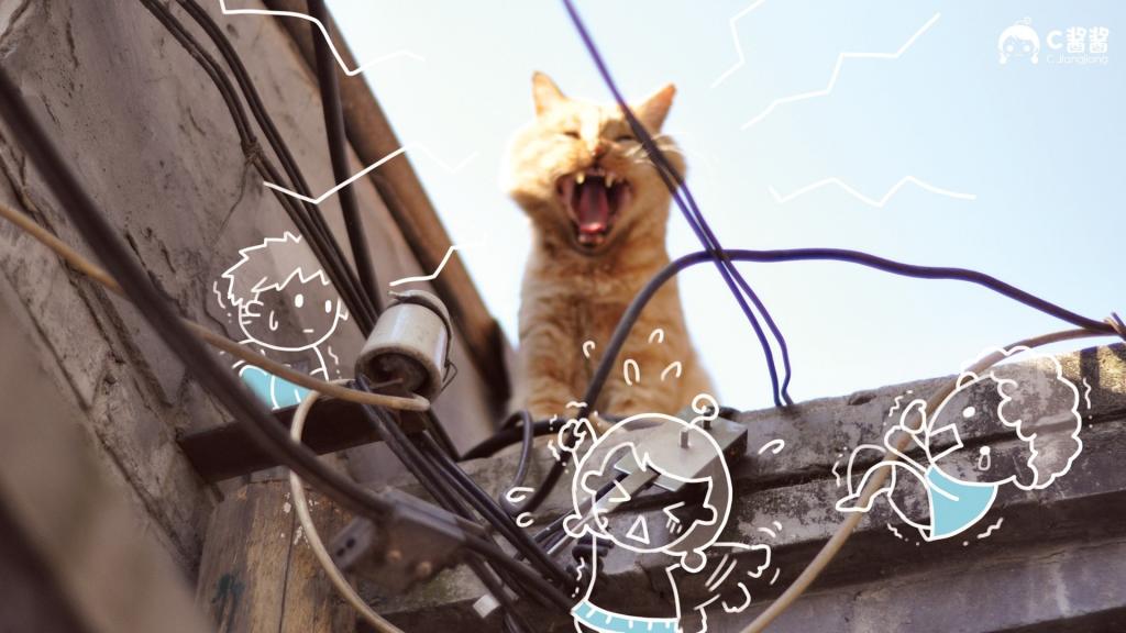 恶搞喵星人(猫咪)
