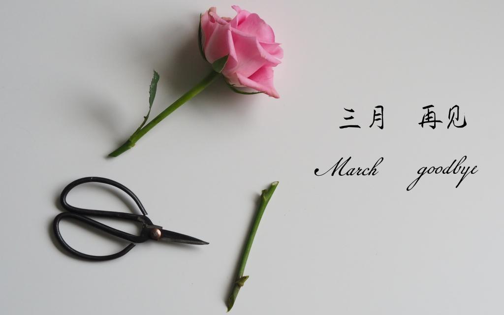 三月,明年我们再见