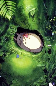 永远的龙猫豆豆龙