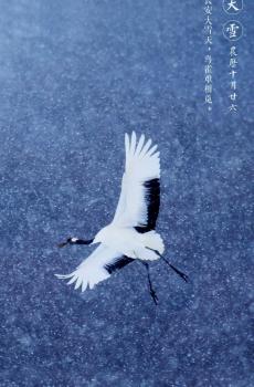 唯美古风二十四节气之大雪-3