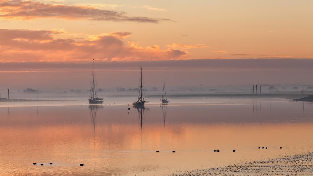 清新护眼的风景