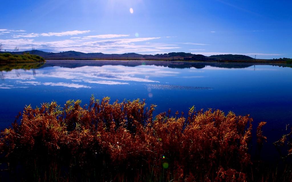 木兰围场美妙的草原风景