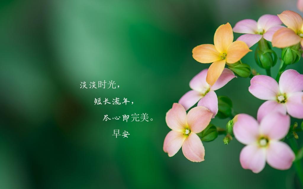 迎接新的一天早安心语 ,高清图片,电脑桌面-壁纸族