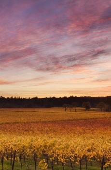 欧美乡村清晨风情-3