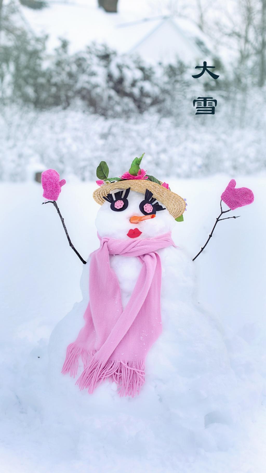 冬天的美丽雪景