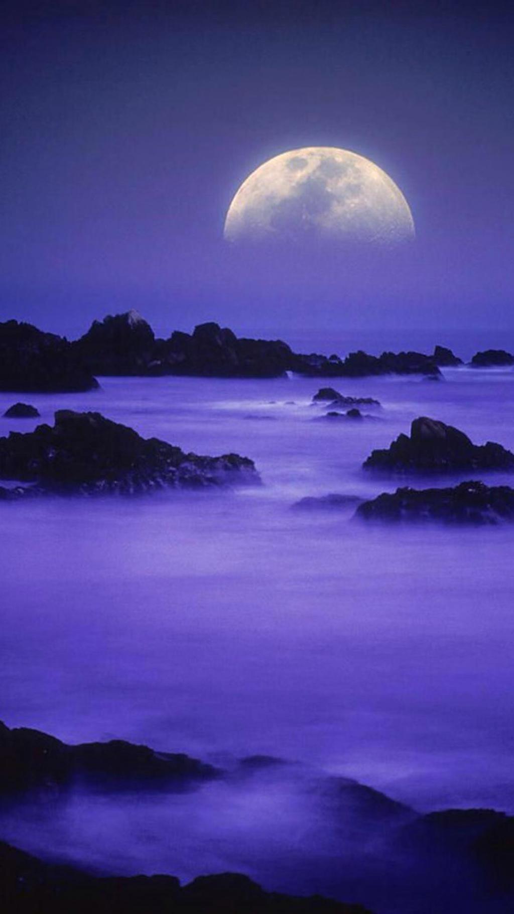 你说中秋圆不圆