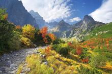 纵观世界风云，风景这边更好