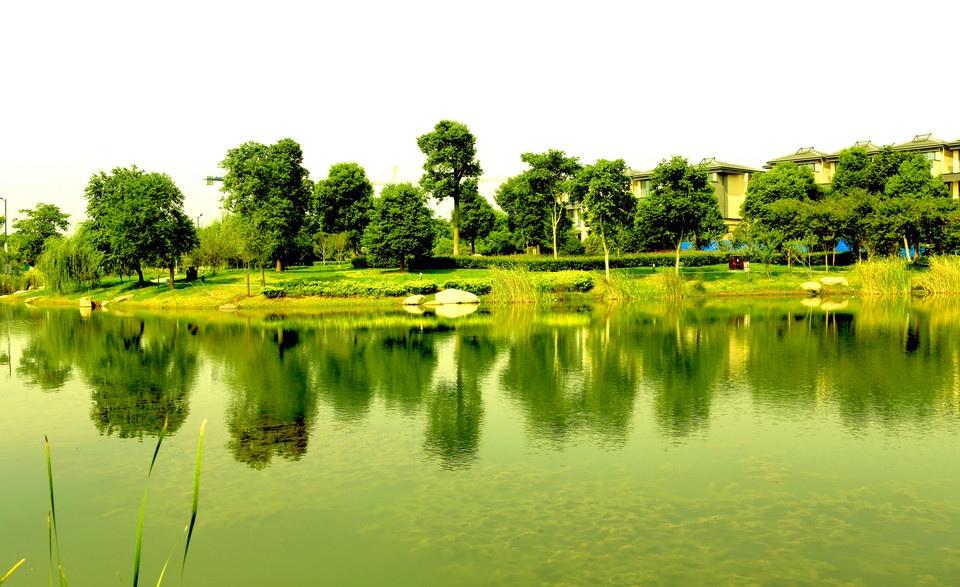 摄影河阳山歌馆唯美建筑风景