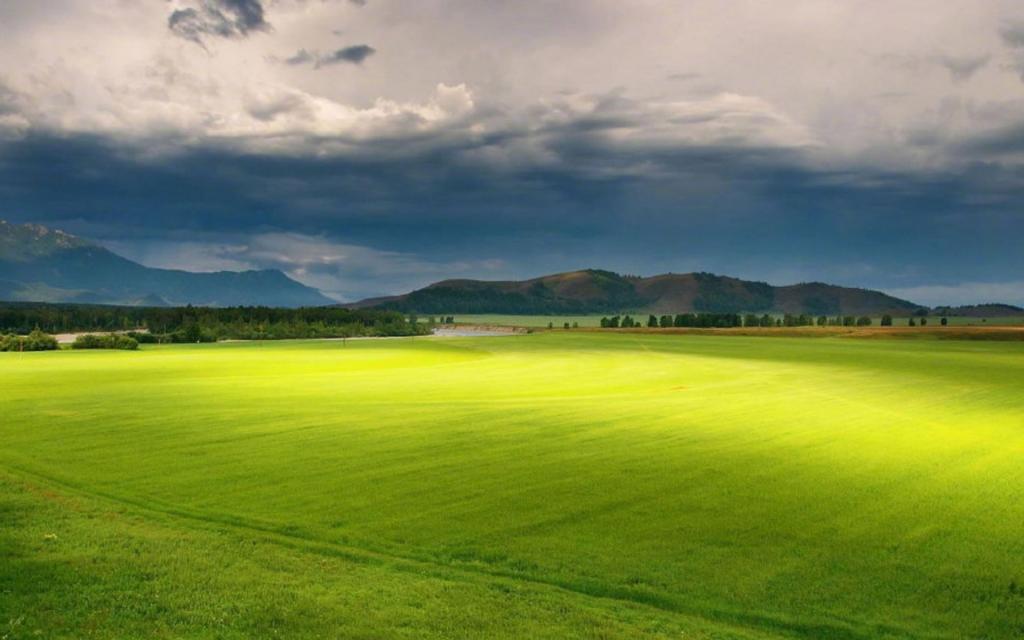 小清新绿色护眼风景