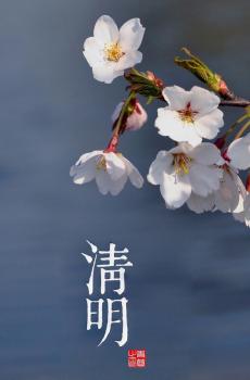 清明节是天时地利人和的合一-2