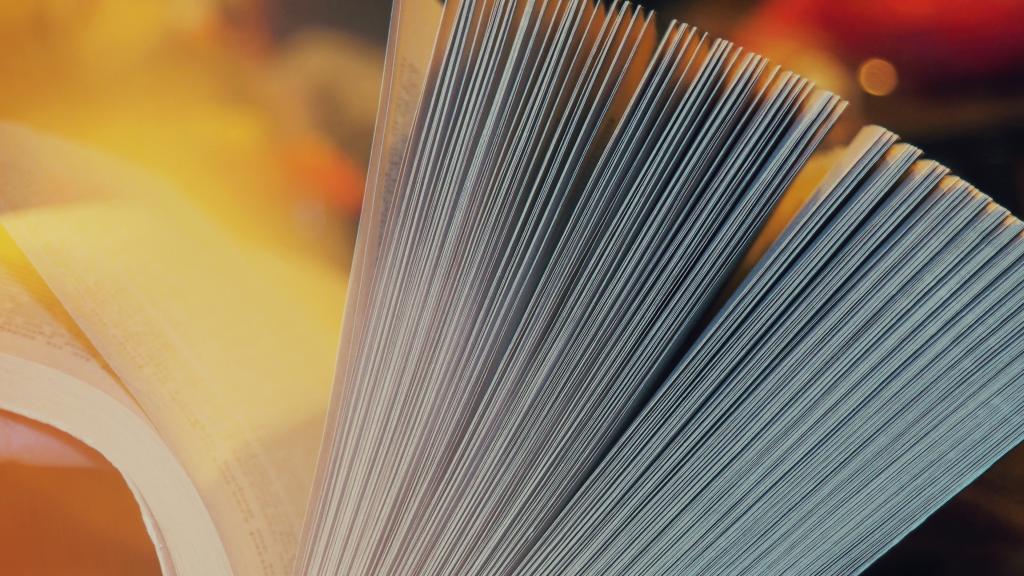 文艺的书籍写真