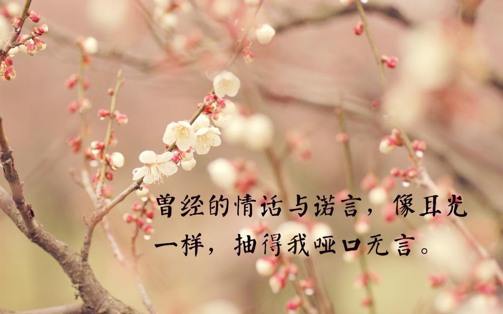 心很累很凉的伤感短句图片