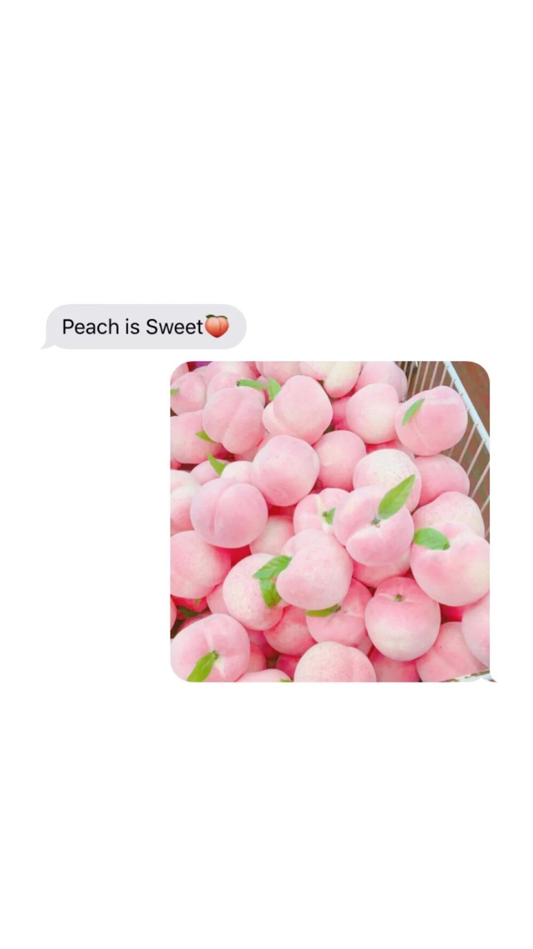 水果桃子可爱插画