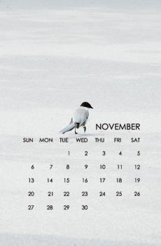 小清新简约纯白11月日历-7