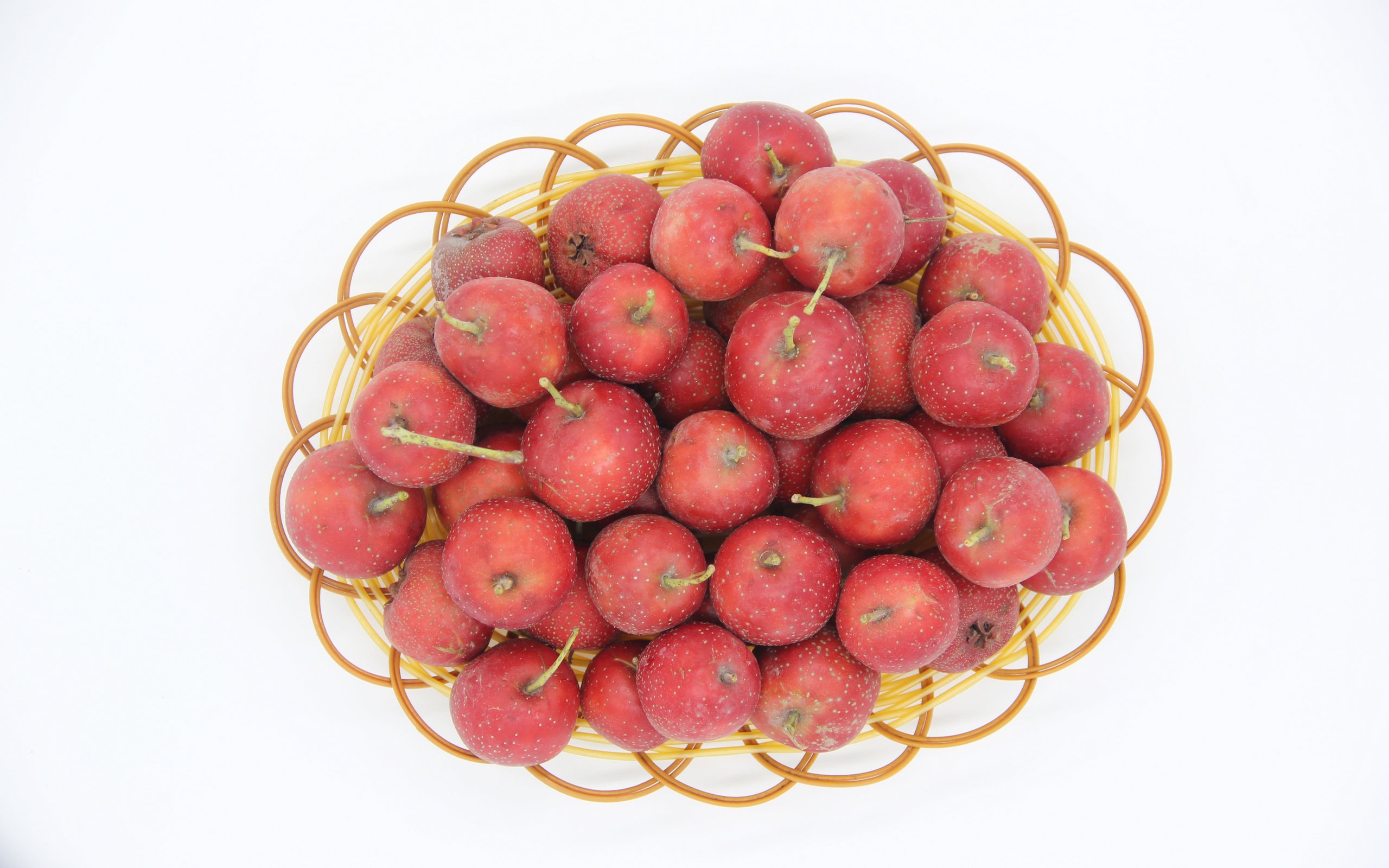 红得诱人的山楂,高清图片,电脑桌面-壁纸族