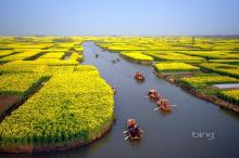 Windows 7 Bing官方桌面